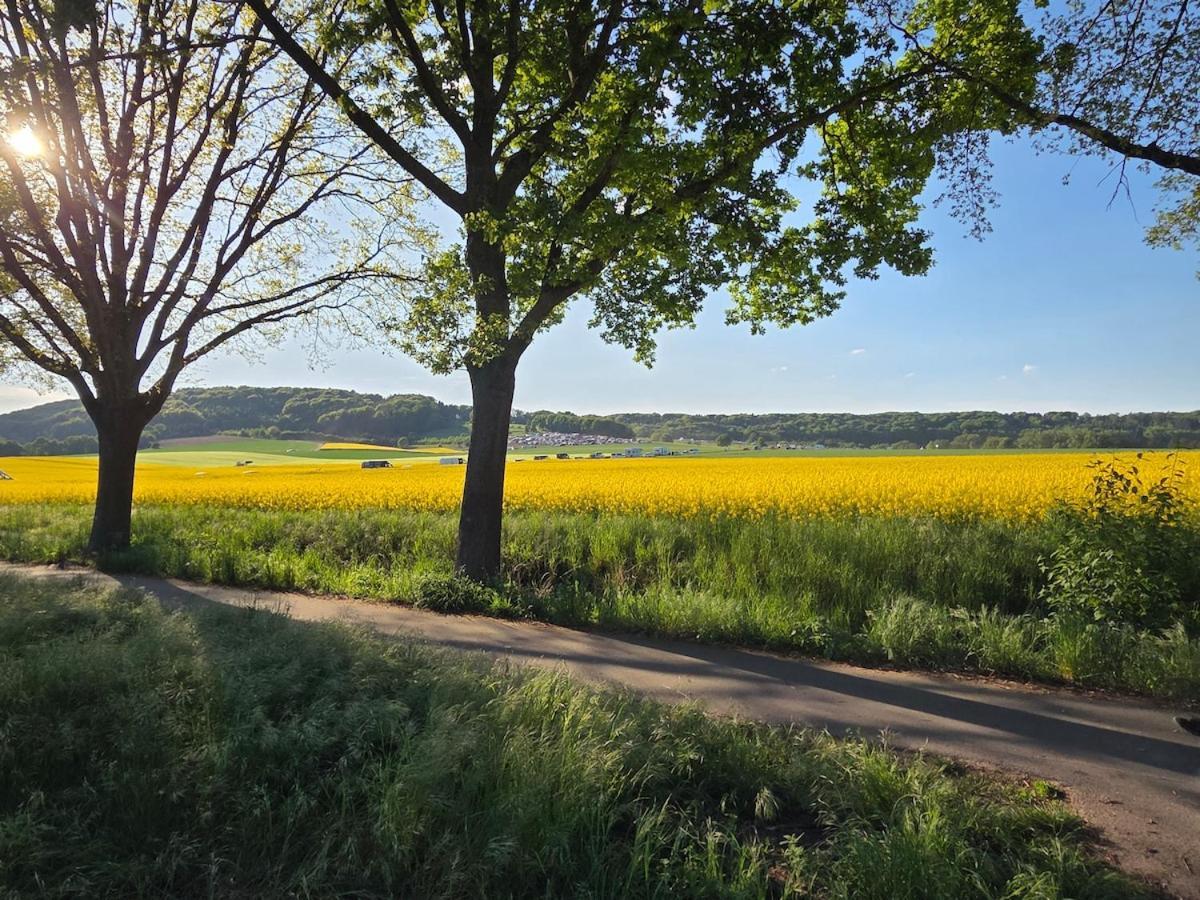Modernes Apartment Im Gruenen, Mit Park- Und Meer-Naehe Bad Zwischenahn Dış mekan fotoğraf